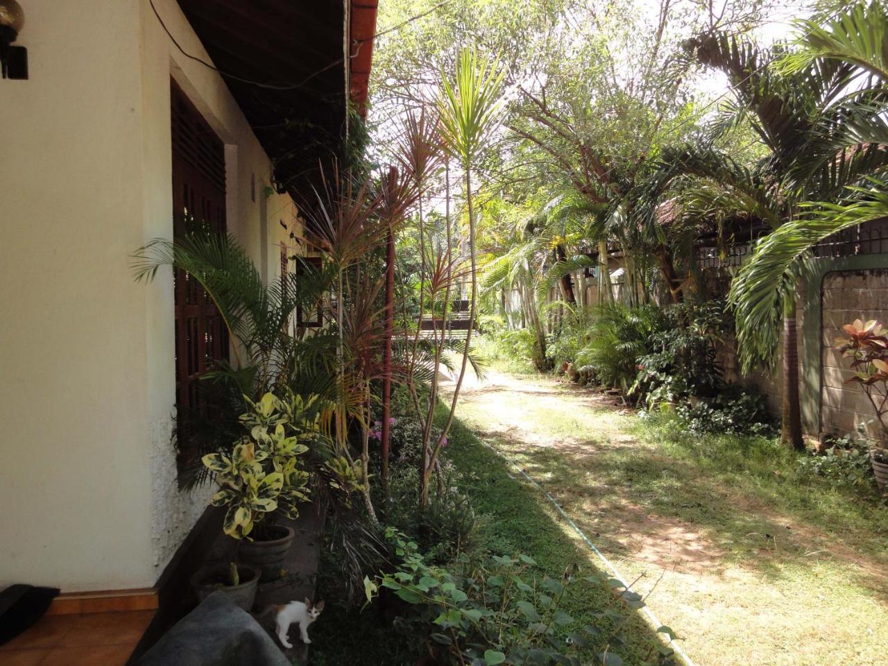 Lidwins Inn 15 Minutes To The Airport Negombo Eksteriør bilde