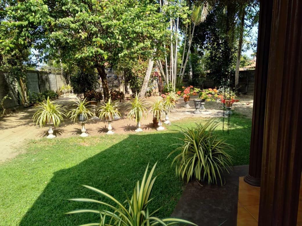 Lidwins Inn 15 Minutes To The Airport Negombo Eksteriør bilde